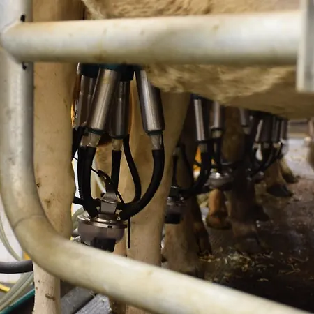 Reinalter * Kappl (Landeck)