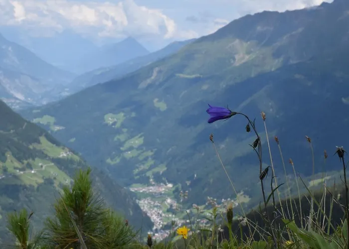 Reinalter Feriegård